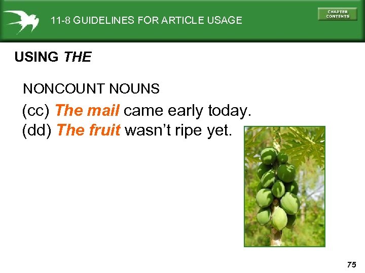 11 -8 GUIDELINES FOR ARTICLE USAGE USING THE NONCOUNT NOUNS (cc) The mail came