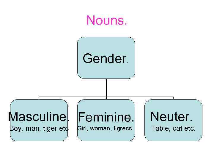 Nouns. Gender. Masculine. Feminine. Neuter. Boy, man, tiger etc Table, cat etc. Girl, woman,