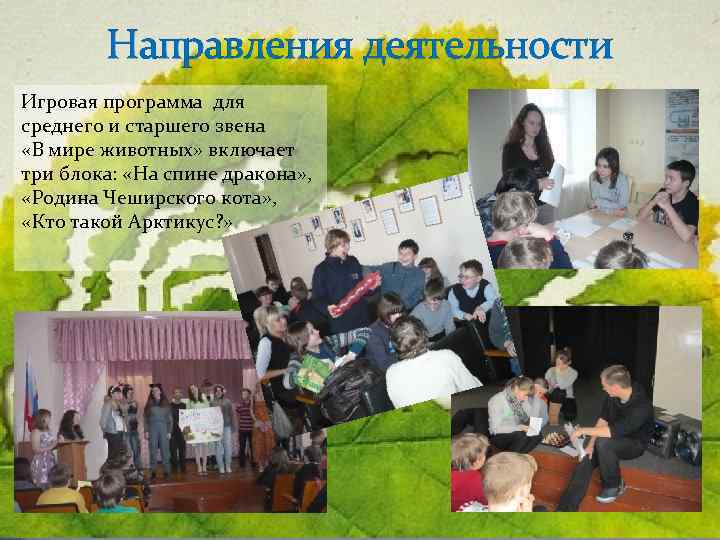 Направления деятельности Игровая программа для среднего и старшего звена «В мире животных» включает три