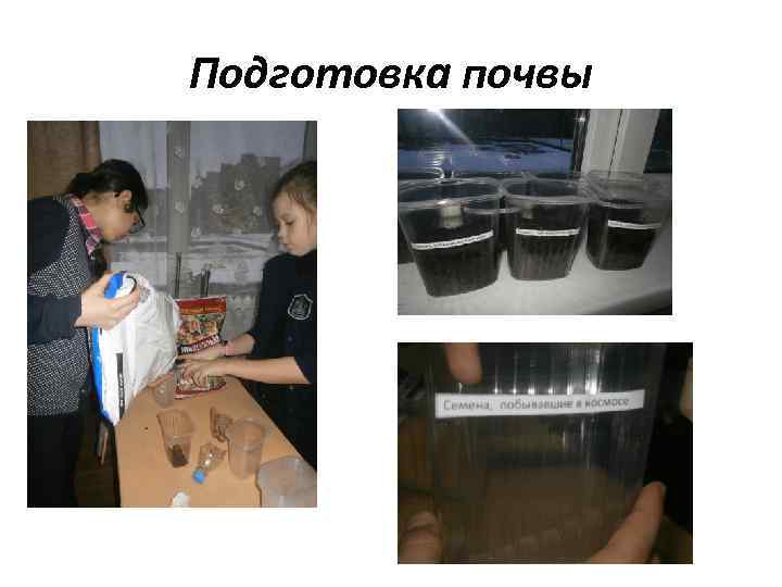 Подготовка почвы 