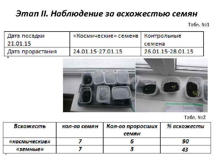 Этап II. Наблюдение за всхожестью семян Табл. № 1 Табл. № 2 43 