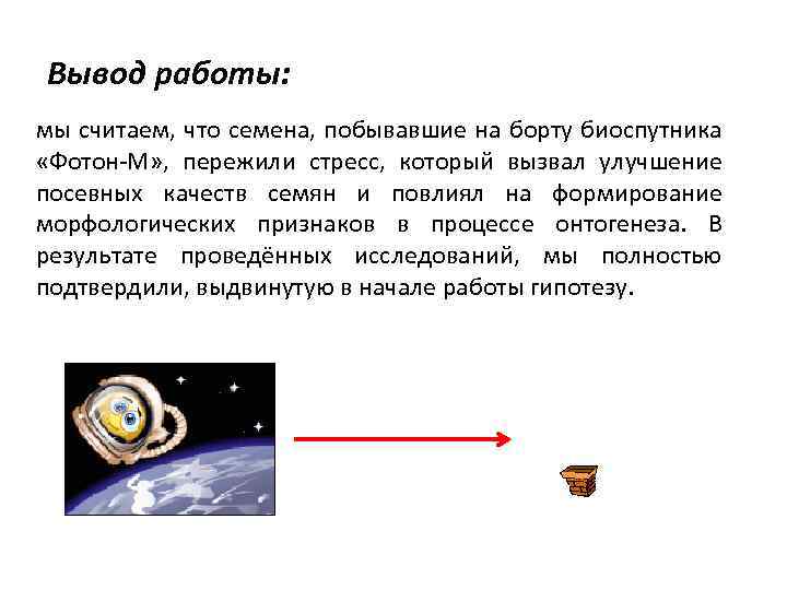 Вывод работы: мы считаем, что семена, побывавшие на борту биоспутника «Фотон-М» , пережили стресс,