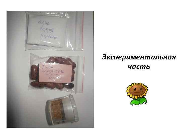 Экспериментальная часть 