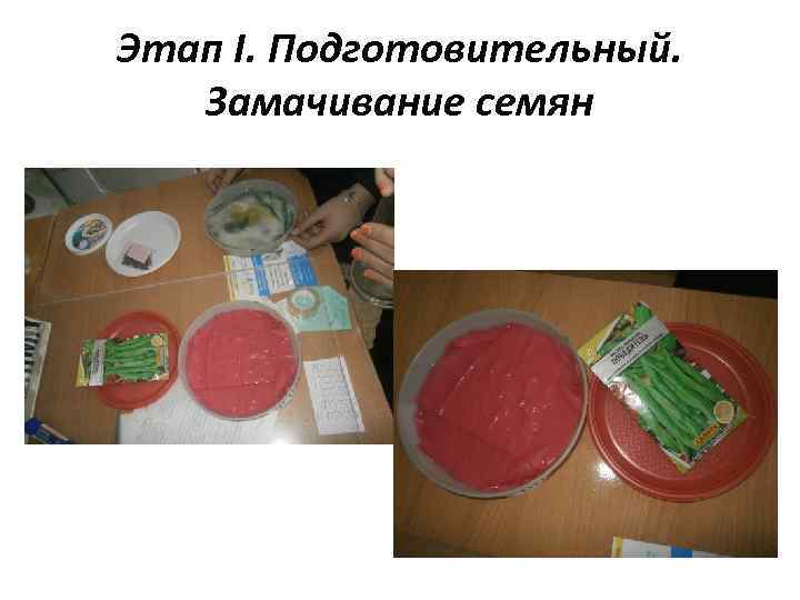 Этап I. Подготовительный. Замачивание семян 