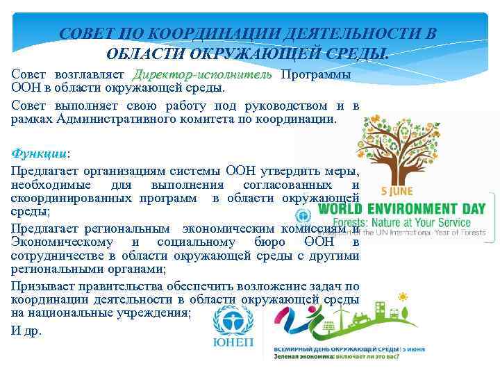 СОВЕТ ПО КООРДИНАЦИИ ДЕЯТЕЛЬНОСТИ В ОБЛАСТИ ОКРУЖАЮЩЕЙ СРЕДЫ. Совет возглавляет Директор-исполнитель Программы ООН в