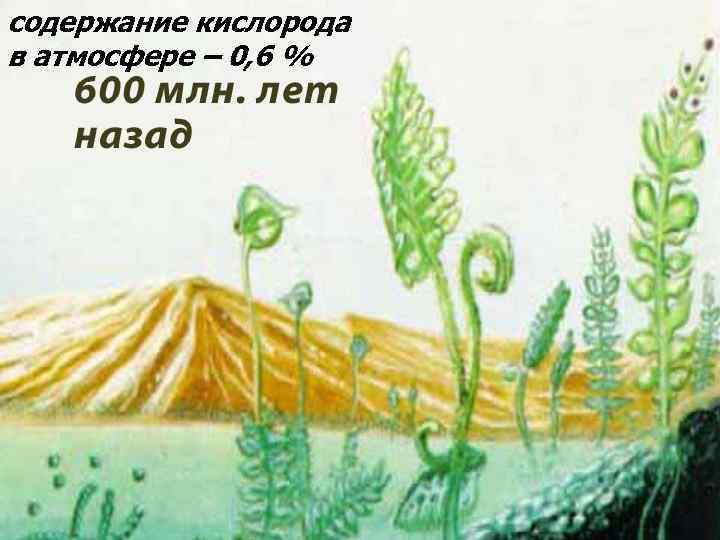 содержание кислорода в атмосфере – 0, 6 % 