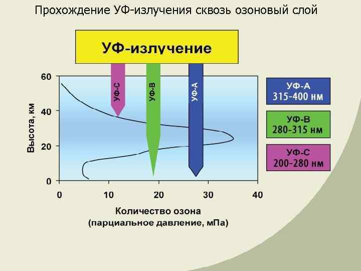 Прохождение УФ-излучения сквозь озоновый слой 