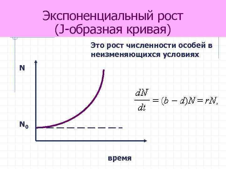Экспоненциальный рост (J-образная кривая) Это рост численности особей в неизменяющихся условиях N N 0