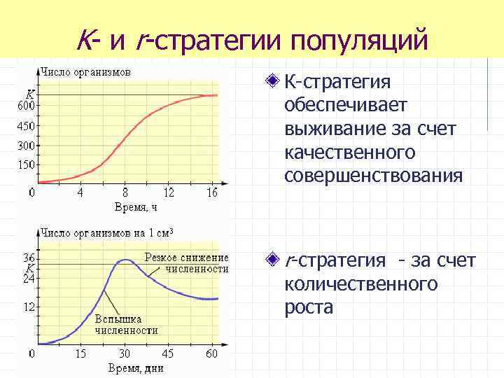 K- и r-стратегии популяций К-стратегия обеспечивает выживание за счет качественного совершенствования r-стратегия - за