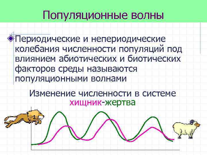 Популяционные волны Периодические и непериодические колебания численности популяций под влиянием абиотических и биотических факторов