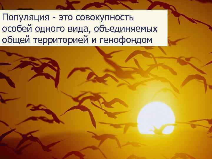Популяция - это совокупность особей одного вида, объединяемых общей территорией и генофондом n 