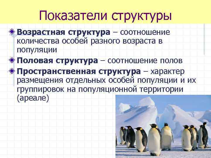 Показатели структуры Возрастная структура – соотношение количества особей разного возраста в популяции Половая структура