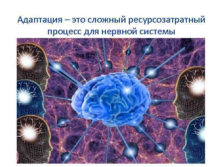 Адаптация – это сложный ресурсозатратный процесс для нервной системы 