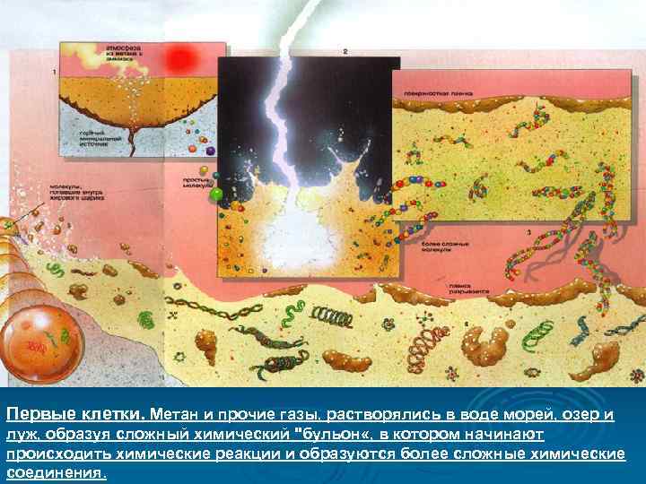 Первые клетки. Метан и прочие газы, растворялись в воде морей, озер и луж, образуя