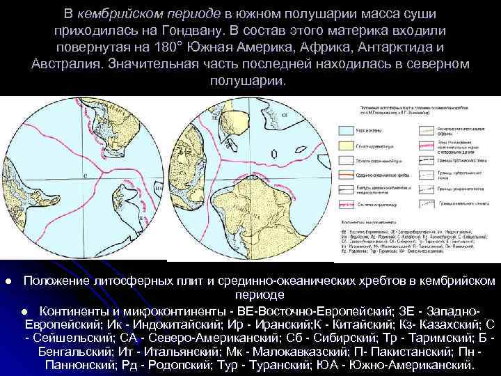 В кембрийском периоде в южном полушарии масса суши приходилась на Гондвану. В состав этого