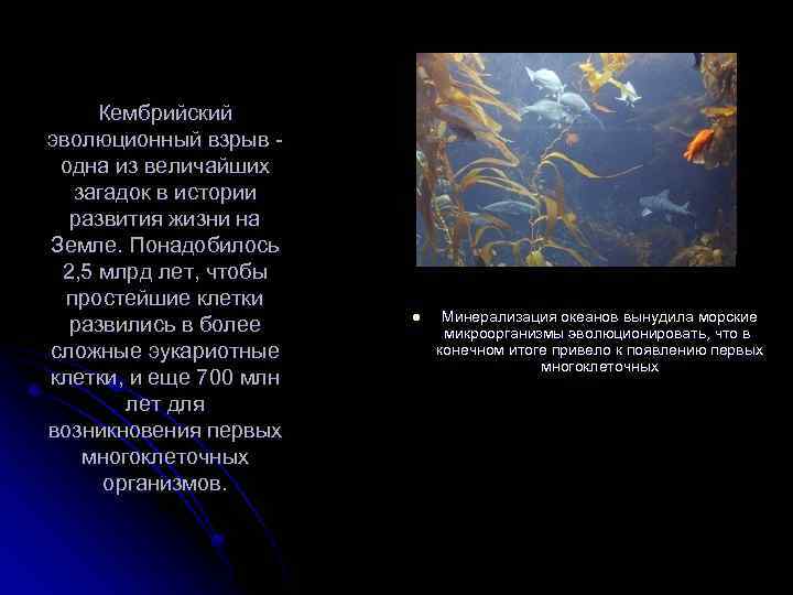 Кембрийский эволюционный взрыв - одна из величайших загадок в истории развития жизни на Земле.