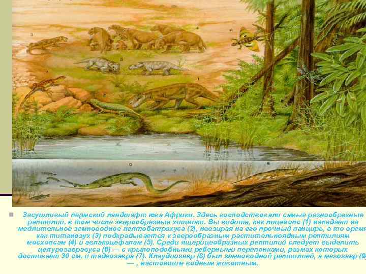 n Засушливый пермский ландшафт юга Африки. Здесь господствовали самые разнообразные рептилии, в том числе