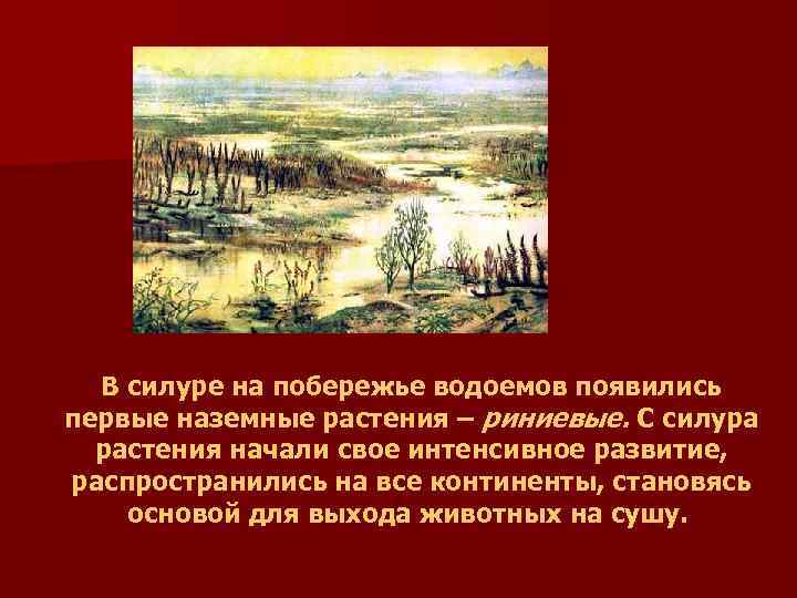 В силуре на побережье водоемов появились первые наземные растения – риниевые. С силура растения