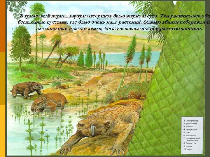 В триасовый период внутри материков было жарко и сухо. Там раскинулись обш бесплодные пустыни,