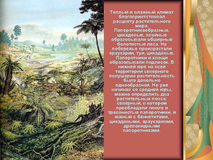Теплый и влажный климат благоприятствовал расцвету растительного мира. Папоротникообразные, цикадовые, хвойные образовывали обширные болотистые