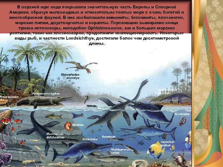 В верхней юре вода покрывала значительную часть Европы и Северной Америки, образуя мелководные и