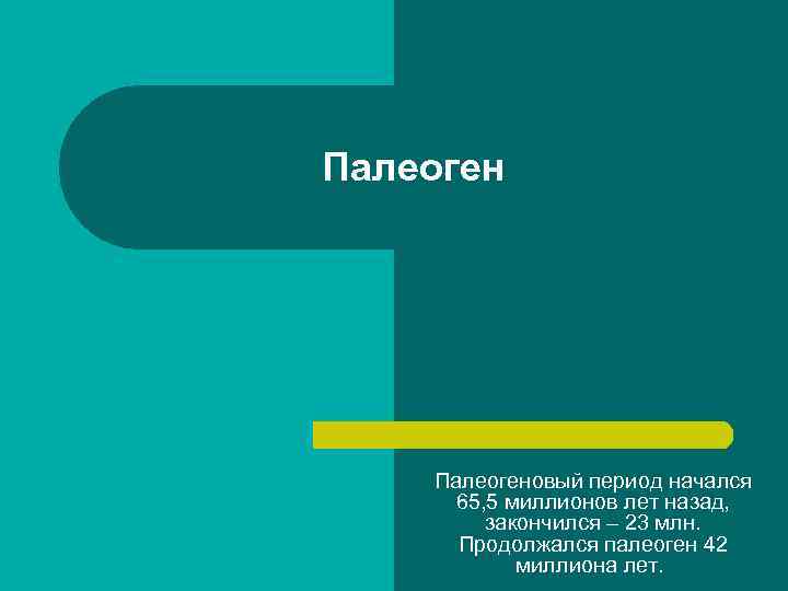 Палеоген Палеогеновый период начался 65, 5 миллионов лет назад, закончился – 23 млн. Продолжался