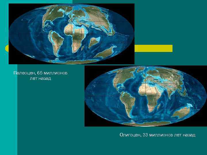 Земля 65 миллионов лет назад карта