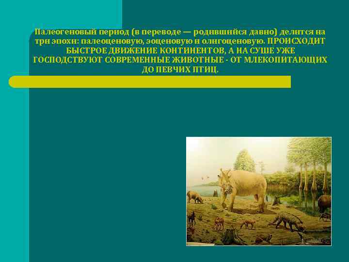 Палеогеновый период (в переводе — родившийся давно) делится на три эпохи: палеоценовую, эоценовую и