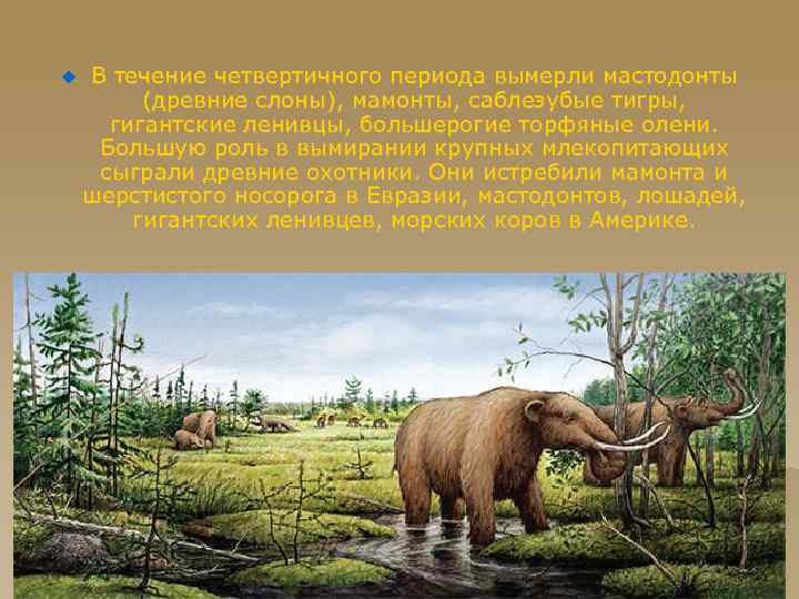 u В течение четвертичного периода вымерли мастодонты (древние слоны), мамонты, саблезубые тигры, гигантские ленивцы,