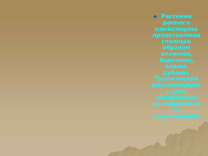 Растения раннего плейстоцена представлены главным образом кленами, березами, елями, дубами, Тропическая растительност ь уже