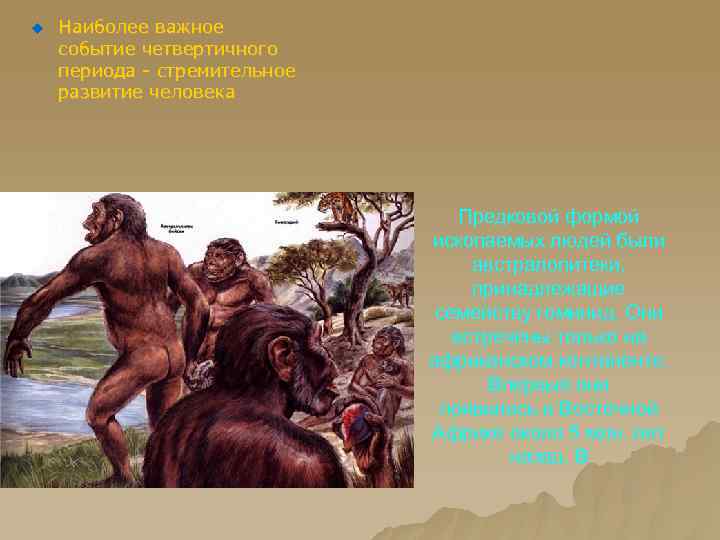 u Наиболее важное событие четвертичного периода - стремительное развитие человека Предковой формой ископаемых людей