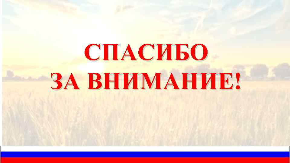 Что для писателя значит слово родина дополните схему соколов микитов родина