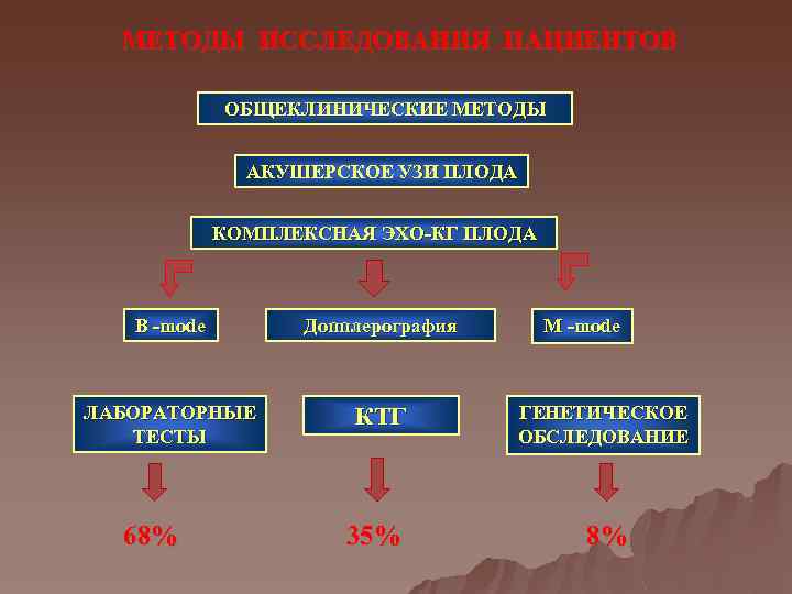 МЕТОДЫ ИССЛЕДОВАНИЯ ПАЦИЕНТОВ ОБЩЕКЛИНИЧЕСКИЕ МЕТОДЫ АКУШЕРСКОЕ УЗИ ПЛОДА КОМПЛЕКСНАЯ ЭХО-КГ ПЛОДА B -mode Допплерография