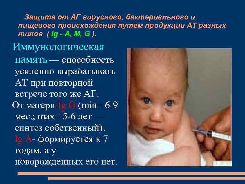 Защита от АГ вирусного, бактериального и пищевого происхождения путем продукции АТ разных типов (