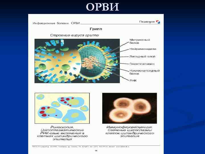 ОРВИ 