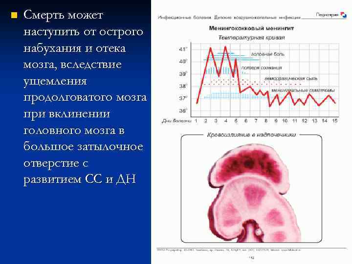n Смерть может наступить от острого набухания и отека мозга, вследствие ущемления продолговатого мозга