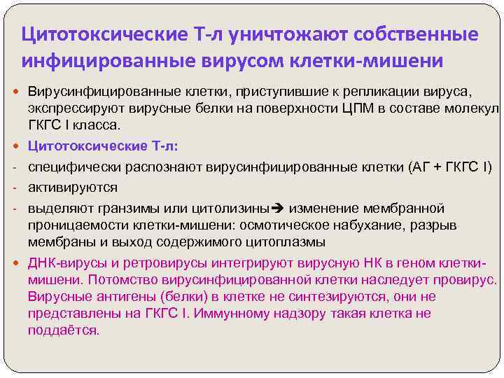 Цитотоксические Т-л уничтожают собственные инфицированные вирусом клетки-мишени Вирусинфицированные клетки, приступившие к репликации вируса, -