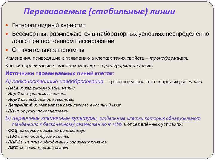 Перевиваемые (стабильные) линии Гетероплоидный кариотип Бессмертны: размножаются в лабораторных условиях неопределённо долго при постоянном