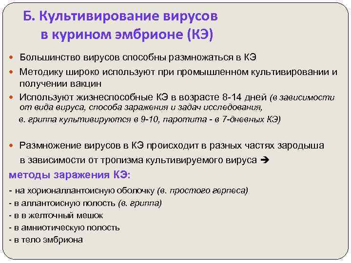 Б. Культивирование вирусов в курином эмбрионе (КЭ) Большинство вирусов способны размножаться в КЭ Методику