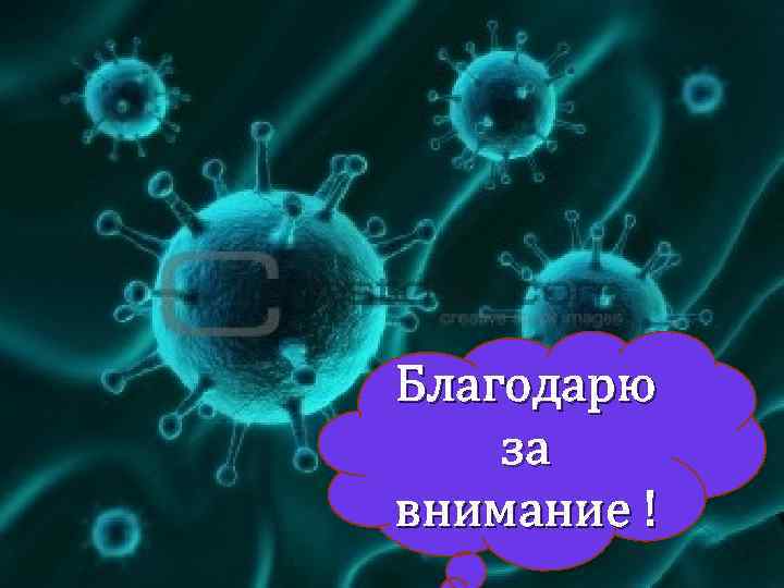 Благодарю за внимание ! 