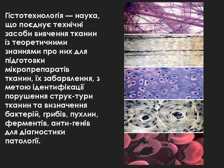 Гістотехнологія — наука, що поєднує технічні засоби вивчення тканин із теоретичними знаннями про них