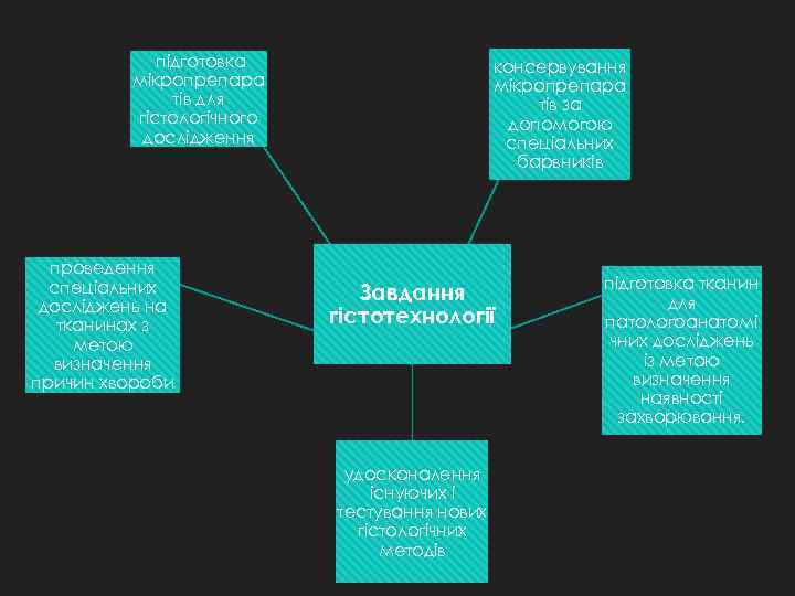 підготовка мікропрепара тів для гістологічного дослідження проведення спеціальних досліджень на тканинах з метою визначення