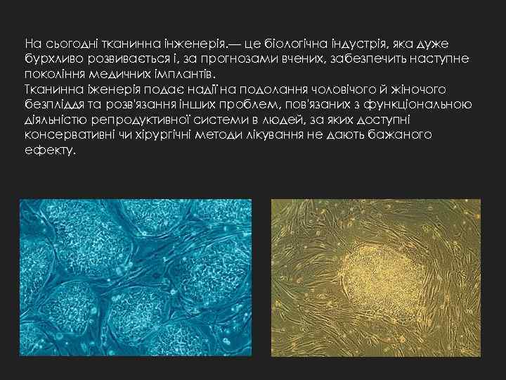 На сьогодні тканинна інженерія. — це біологічна індустрія, яка дуже бурхливо розвивається і, за