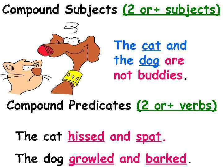 Compound Subjects (2 or+ subjects) The cat and the dog are not buddies. Compound