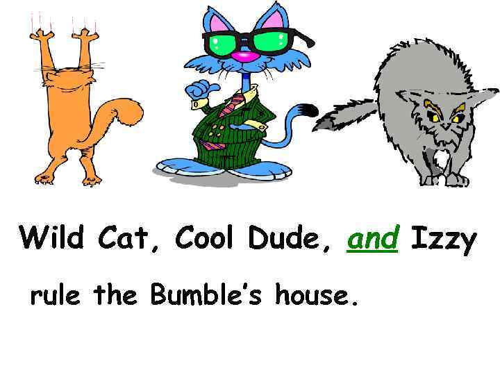 Wild Cat, Cool Dude, and Izzy rule the Bumble’s house. 