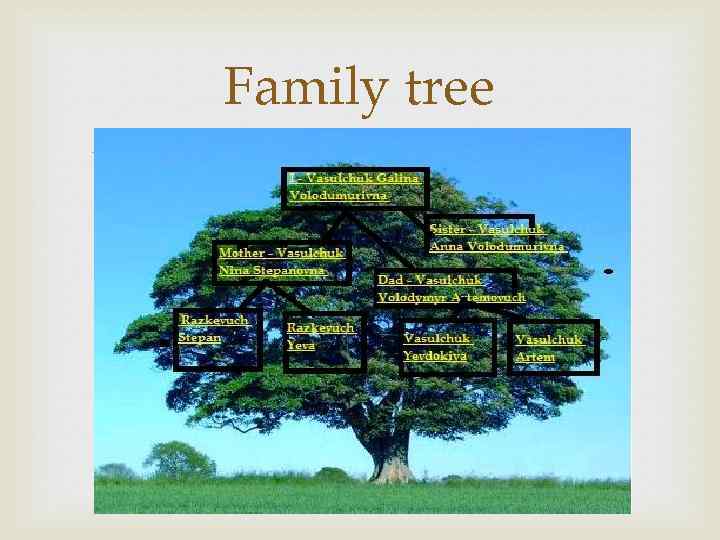 Family tree 