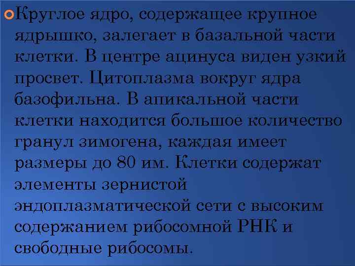  Круглое ядро, содержащее крупное ядрышко, залегает в базальной части клетки. В центре ацинуса