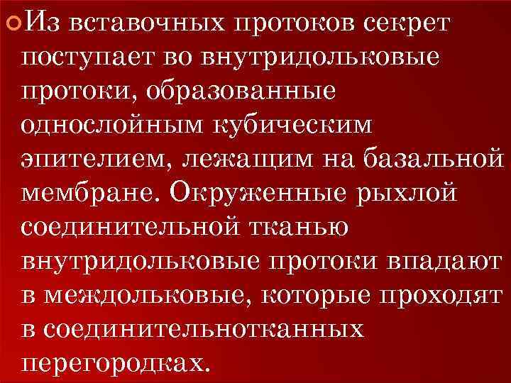  Из вставочных протоков секрет поступает во внутридольковые протоки, образованные однослойным кубическим эпителием, лежащим