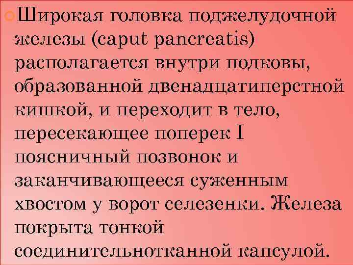  Широкая головка поджелудочной железы (caput pancreatis) располагается внутри подковы, образованной двенадцатиперстной кишкой, и