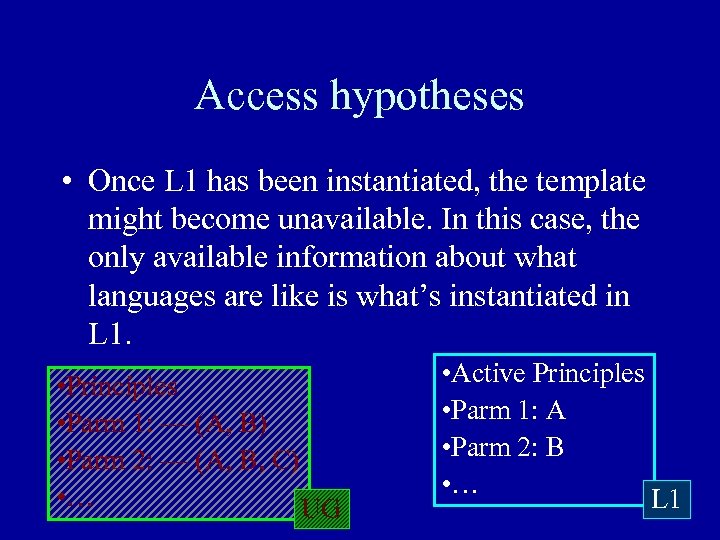 Access hypotheses • Once L 1 has been instantiated, the template might become unavailable.